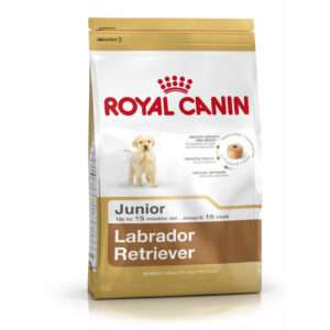 Royal Canin Labrador Junior Dry Dog Food